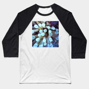 Sea Anemone Baseball T-Shirt